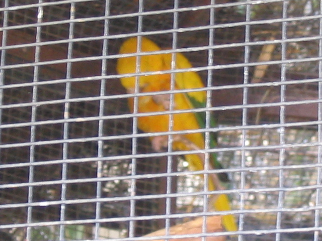 618x457 pixels (177K)